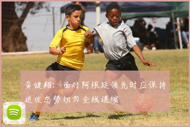 黄健翔：面对阿根廷领先时应保持进攻态势切勿全线退缩
